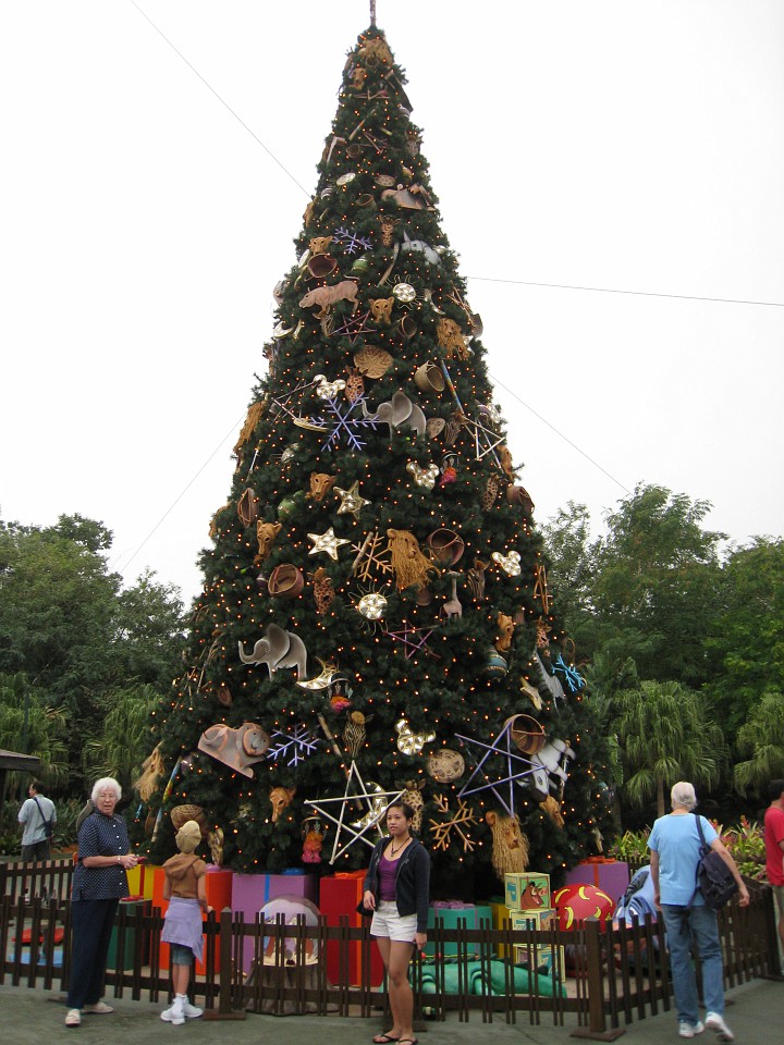 Vacation 2007-12 - Disney Parks  0385.jpg - The 2007-08 vacation to Florida included Disney World. We visited some of the larger theme Resorts along with Animal Kingdom and Disney Hollywood Studios.